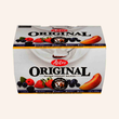 Astro Yogurt 12 Pack X 100 g